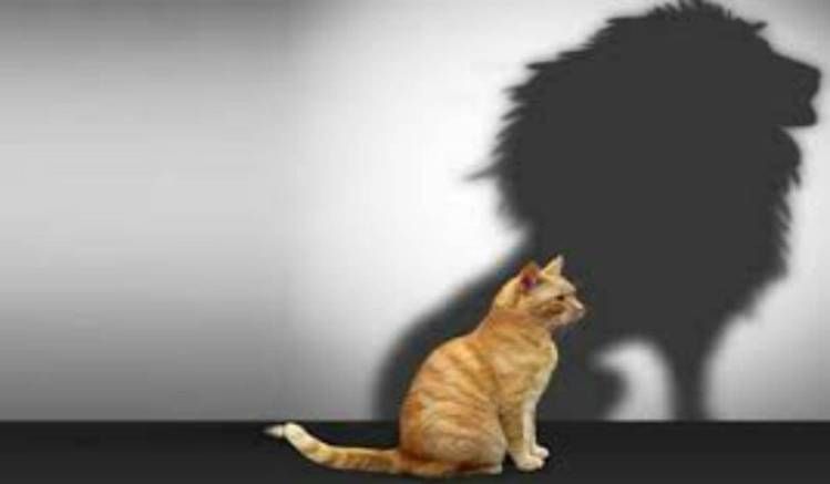 Percorso di coaching per ritrovare autostima e fiducia in sé stessi